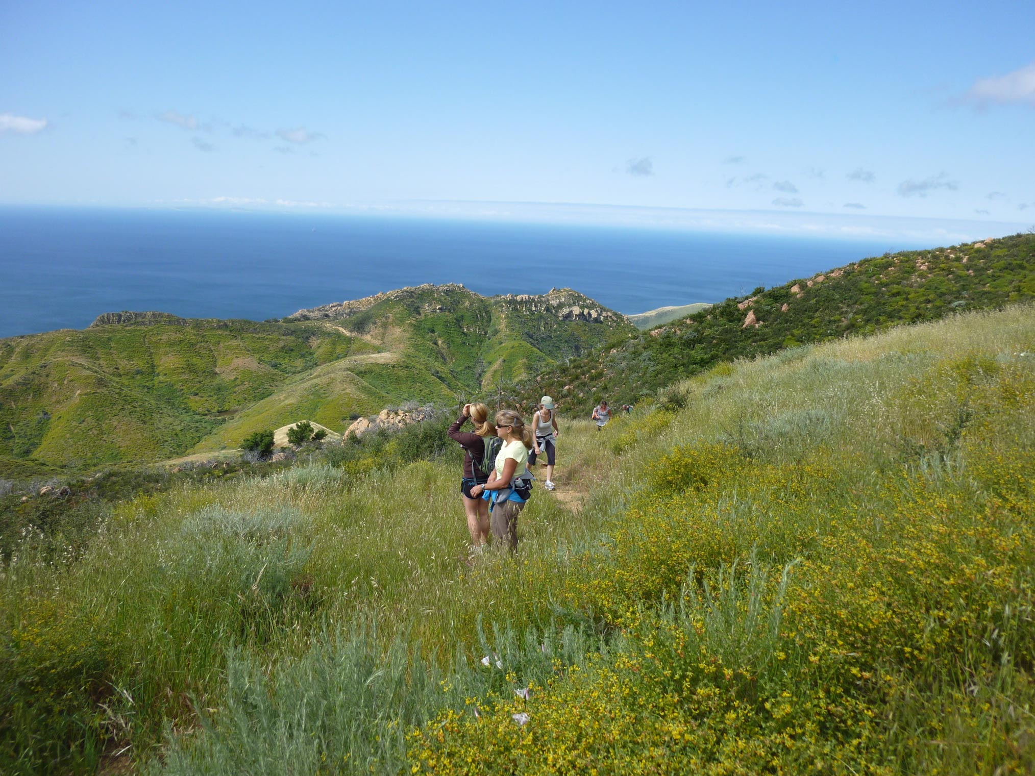 Gaviota Coast Hike