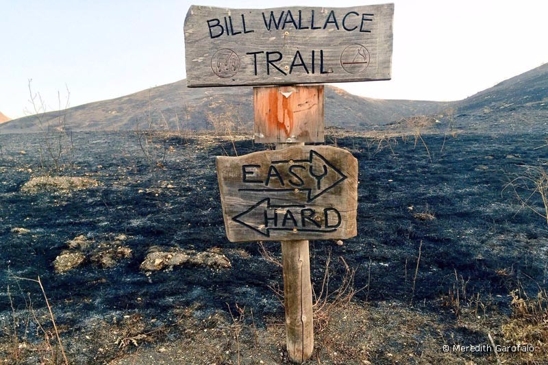 bill-wallace-trail-post-fire