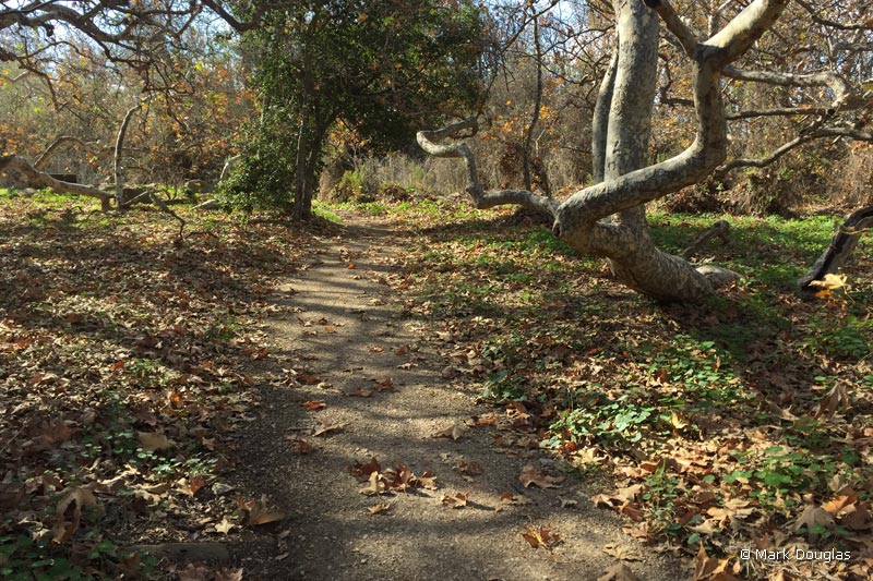 el-capitan-nature-trail